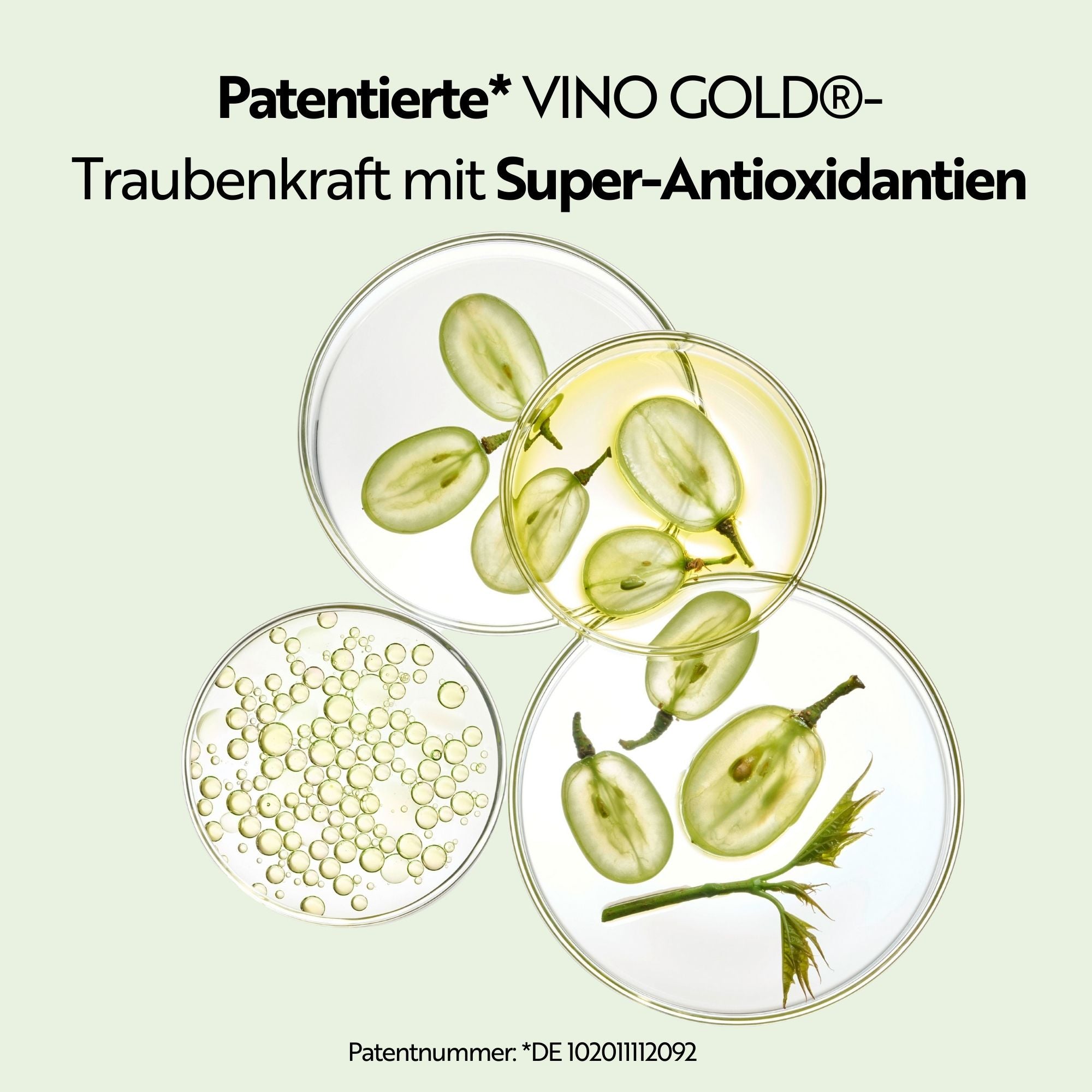 M. Asam Vino Gold 24h face cream